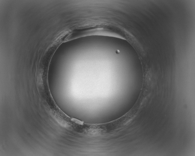 X0000078280209200611031217