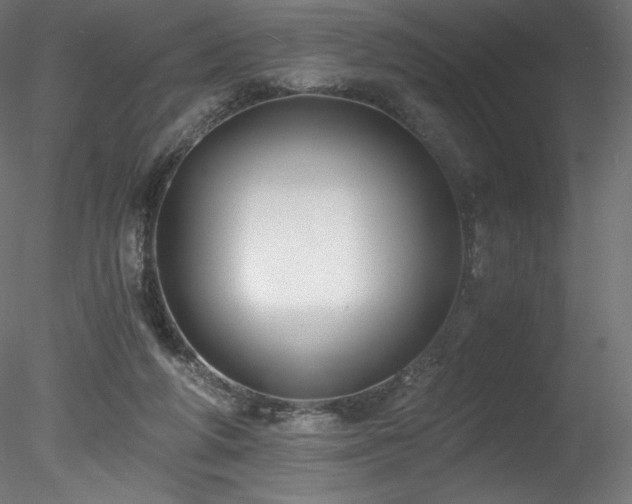 X0000078280210200611031217