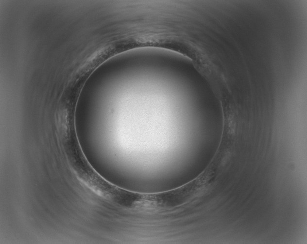 X0000078280211200611031217