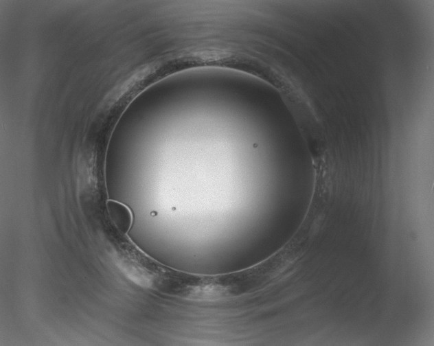 X0000078280212200611031217