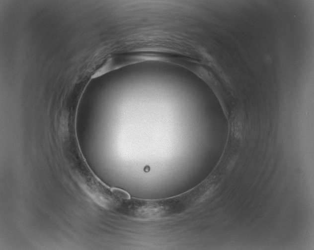 X0000078280213200611031217