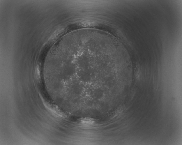 X0000078280214200611031217