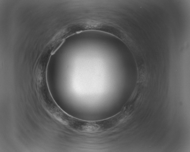 X0000078280215200611031217