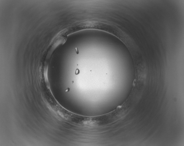 X0000078280216200611031217