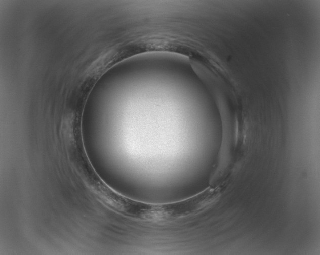 X0000078280217200611031217