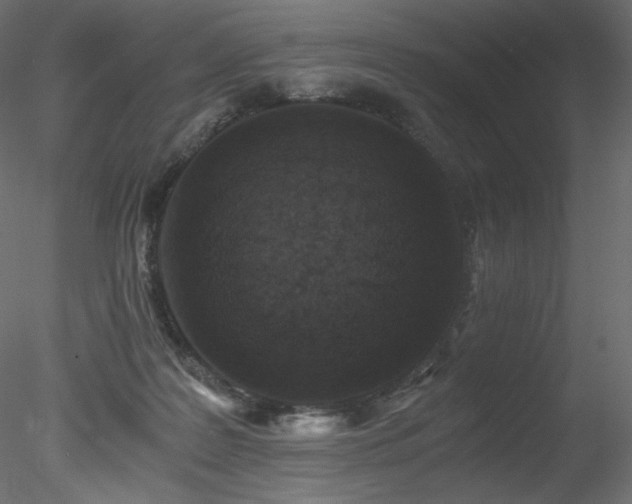 X0000078280219200611031217