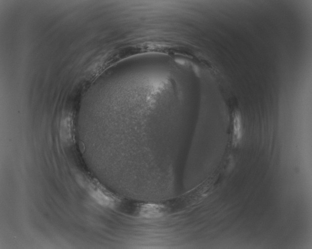 X0000078280222200611031217