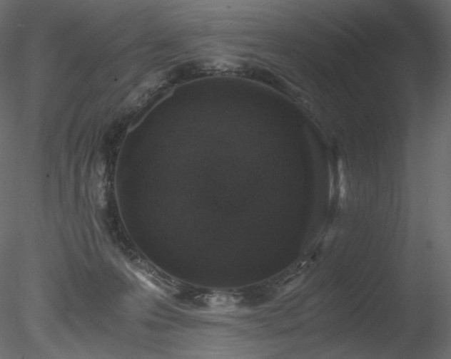 X0000078280223200611031217