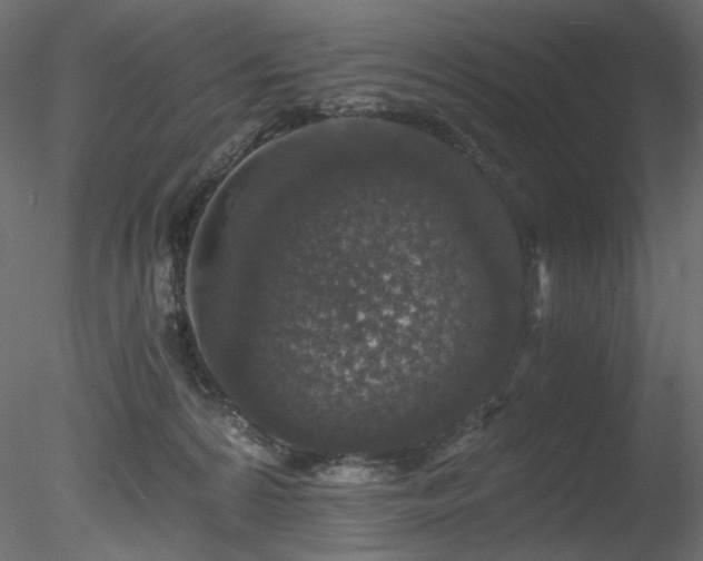 X0000078280224200611031217