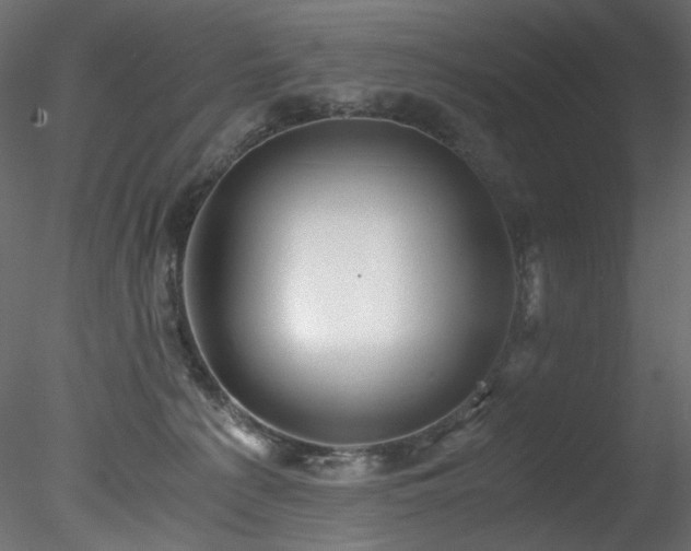 X0000078280225200611031217