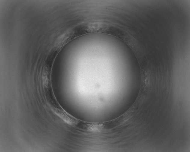 X0000078280226200611031217