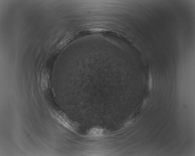 X0000078280227200611031217