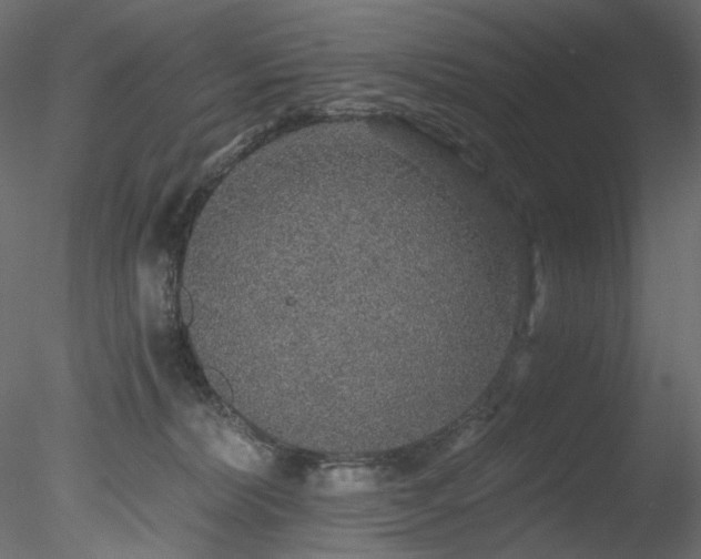 X0000078280228200611031217