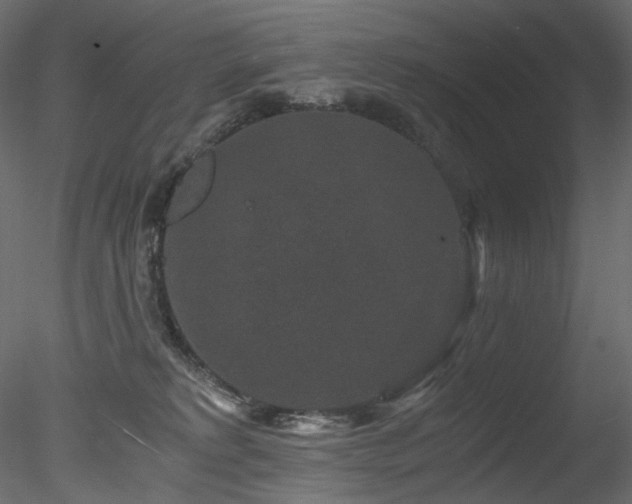 X0000078280229200611031217