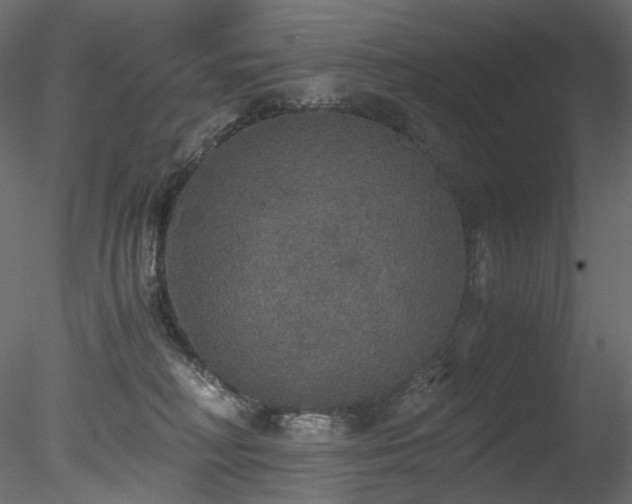 X0000078280230200611031217