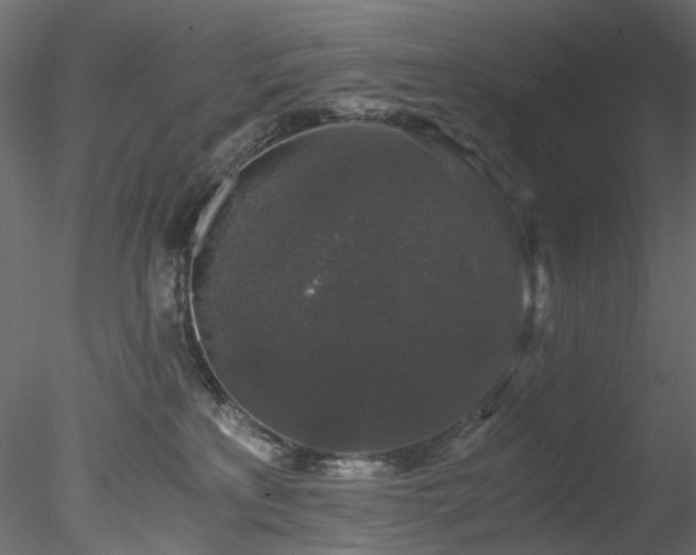 X0000078280233200611031216