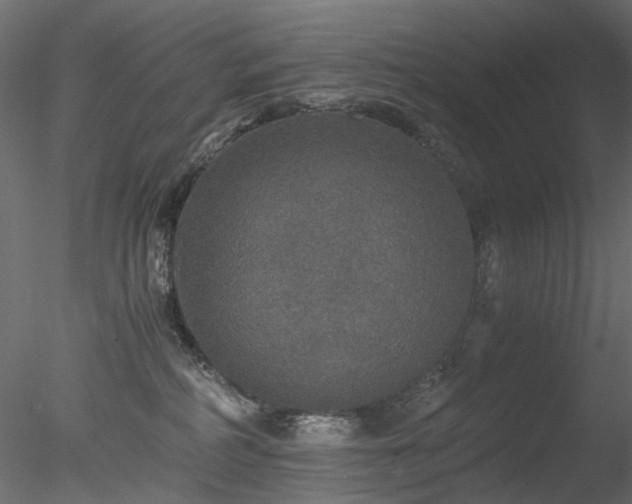 X0000078280234200611031216