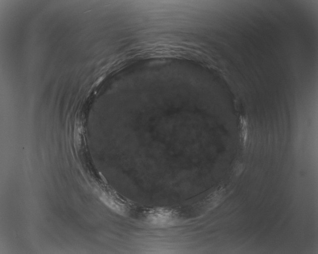 X0000078280235200611031216