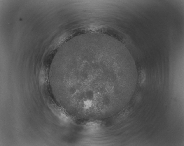 X0000078280236200611031216