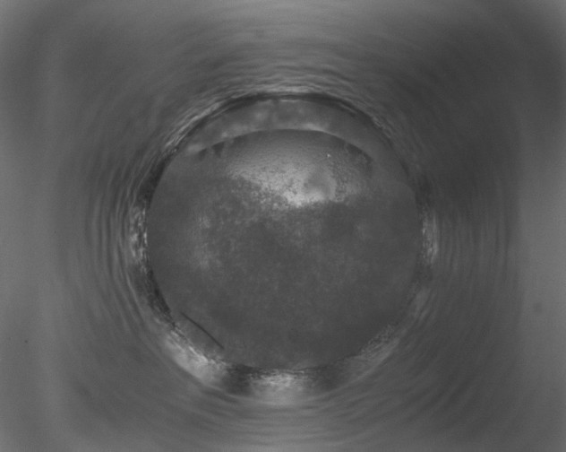 X0000078280237200611031216