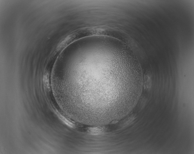 X0000078280238200611031216