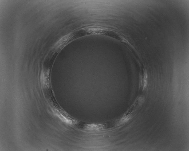 X0000078280239200611031216