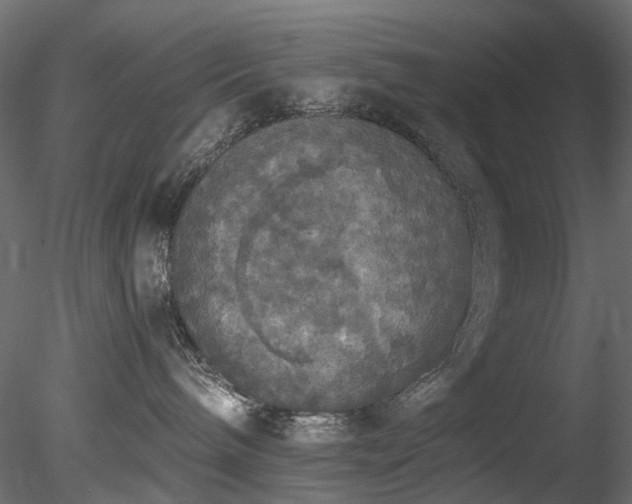 X0000078280240200611031216