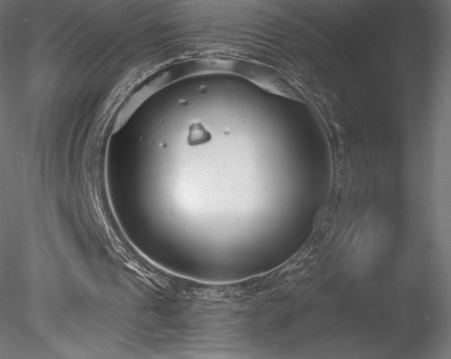 X0000078280241200611031216