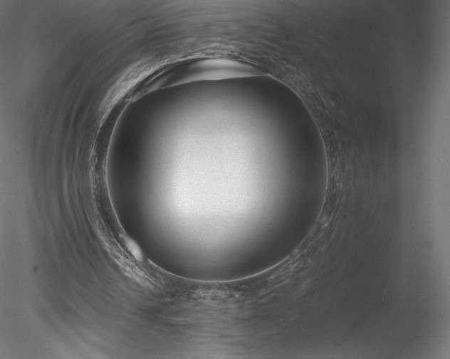 X0000078280242200611031216