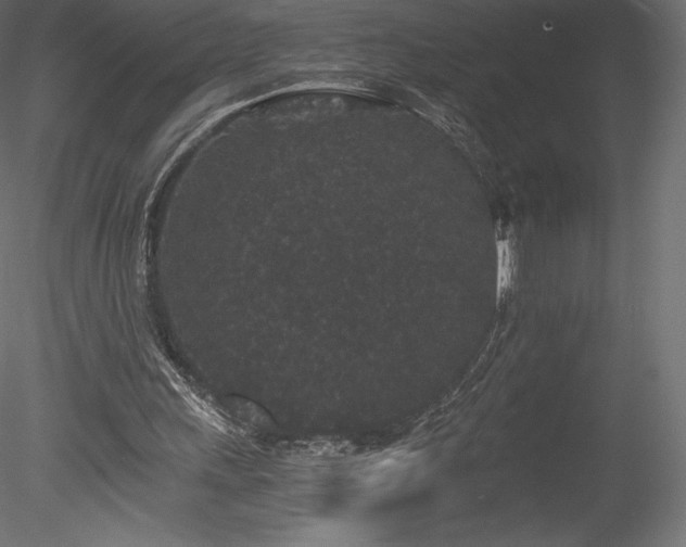 X0000078280243200611031216