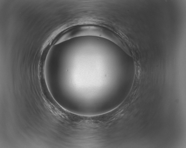 X0000078280244200611031216