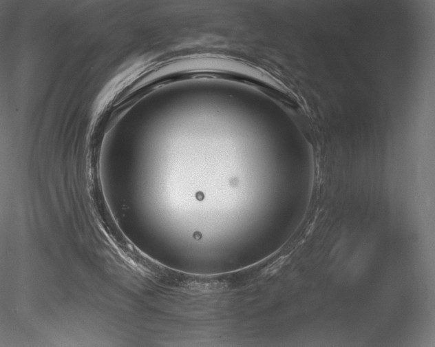 X0000078280245200611031216