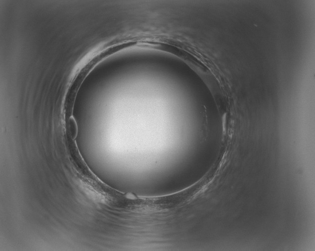 X0000078280246200611031216