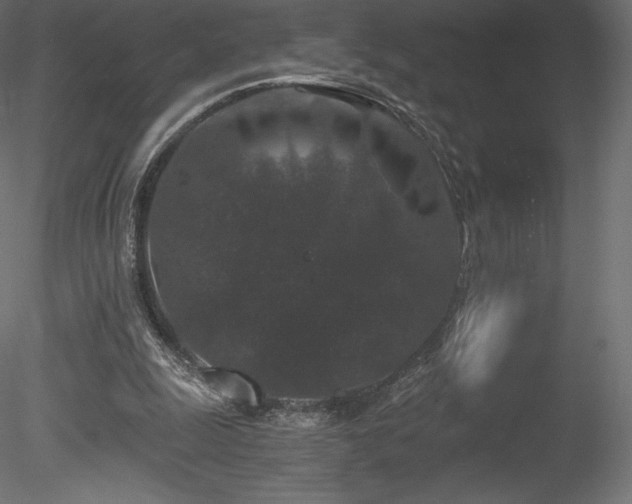 X0000078280247200611031216