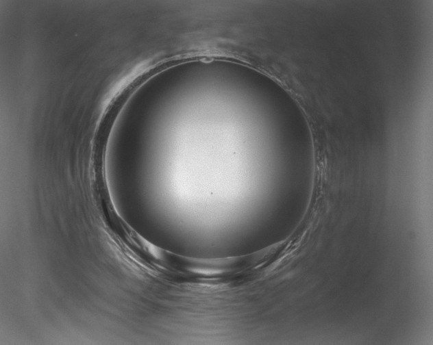 X0000078280248200611031216