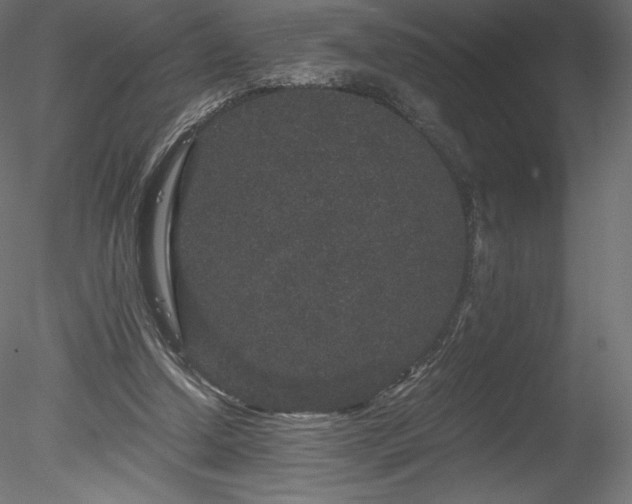 X0000078280250200611031216