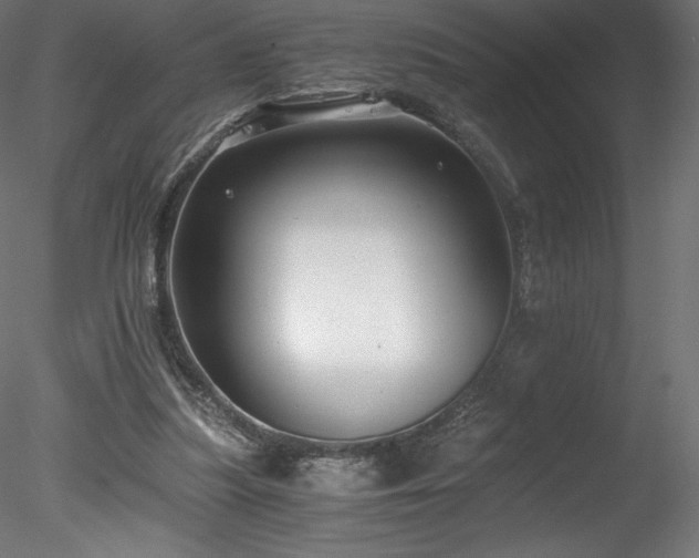 X0000078280251200611031216