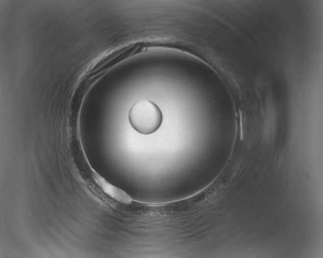 X0000078280252200611031216