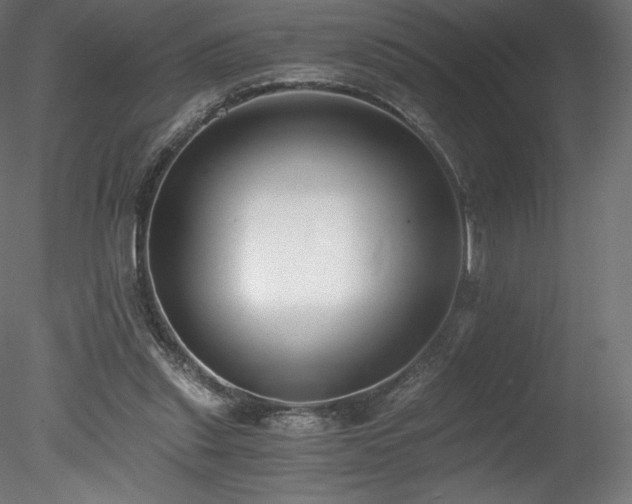 X0000078280253200611031216