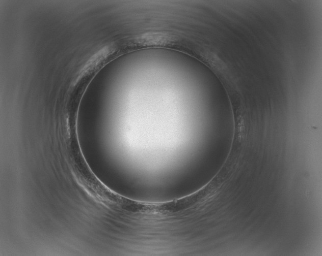 X0000078280254200611031216