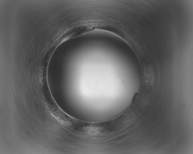 X0000078280255200611031216