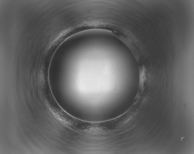 X0000078280256200611031216