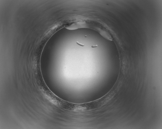 X0000078280257200611031216