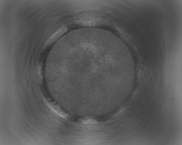 X0000078280258200611031216