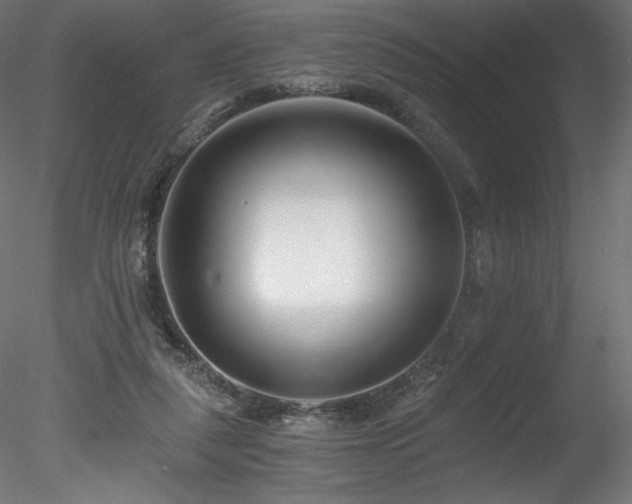 X0000078280259200611031216