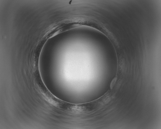 X0000078280261200611031216