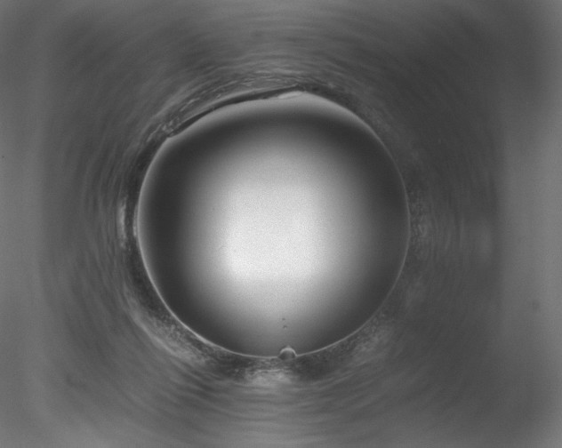 X0000078280262200611031216