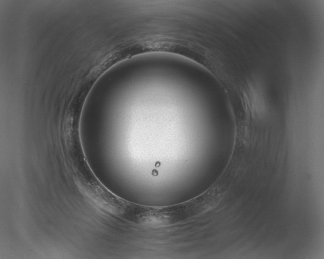 X0000078280263200611031216