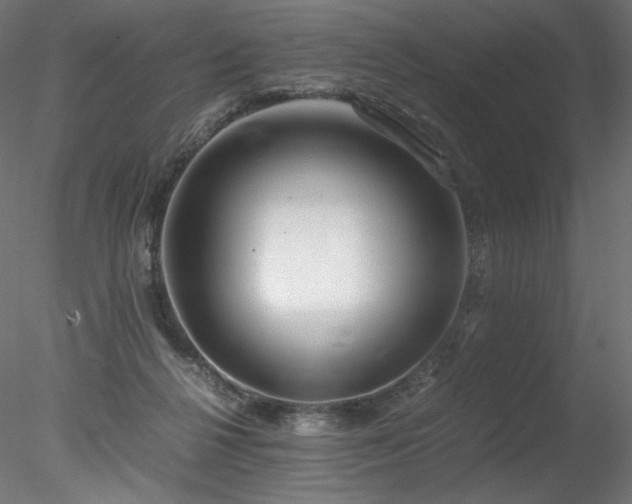 X0000078280264200611031216