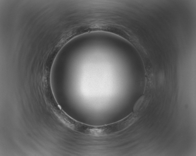 X0000078280265200611031216